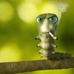 Burak