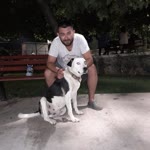 Sezer