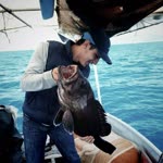 Samet