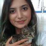Ceren