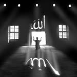 Tarek