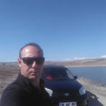 Arif