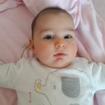 Gonca
