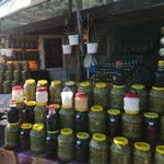 Ftş