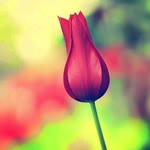 Hatice