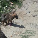 Nly