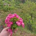 Ebru