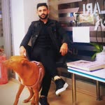 Veysel