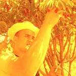 Fatih