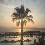 Zeynep