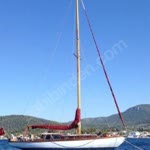 Aytuğ