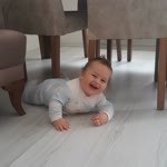 Cansu