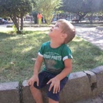 Vedat