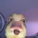Kevser