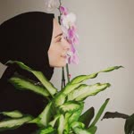 Sümeyye