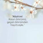 Aysel