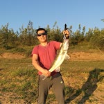 Metin