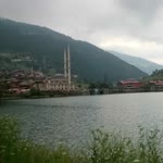 Melih