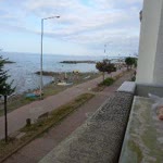 Selim