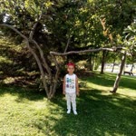 Merve