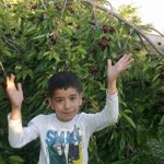 Onur