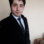 Doğan