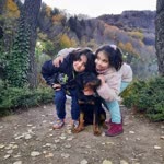 Sibel