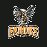 Ekinoks