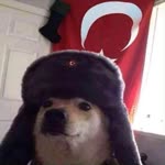 Profil fotoğrafı