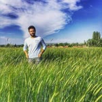 Ahmet