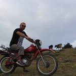 Ferhat