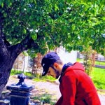 Galip