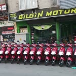 Bilgin
