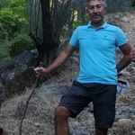 Aydın