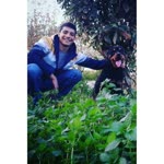 Kerim