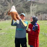 Orhan