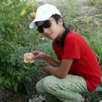 Aynur