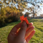 Mine