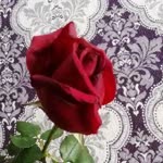 Mehdiye