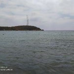 Davut