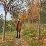 Fazıl