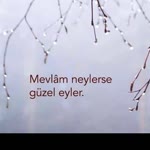 Ayşe