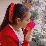 Sibel