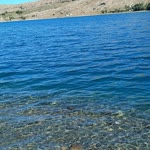 Celal
