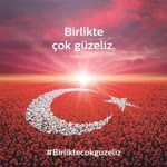 Halil