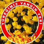 Nuray