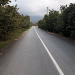 Nagehan