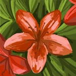 Fatma
