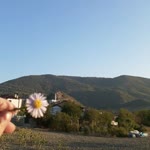 Hanım