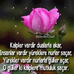 Selin